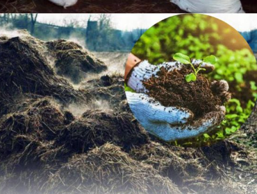 Fertilizer